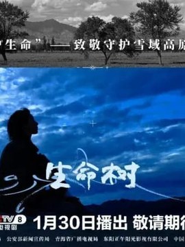 合同管理案例